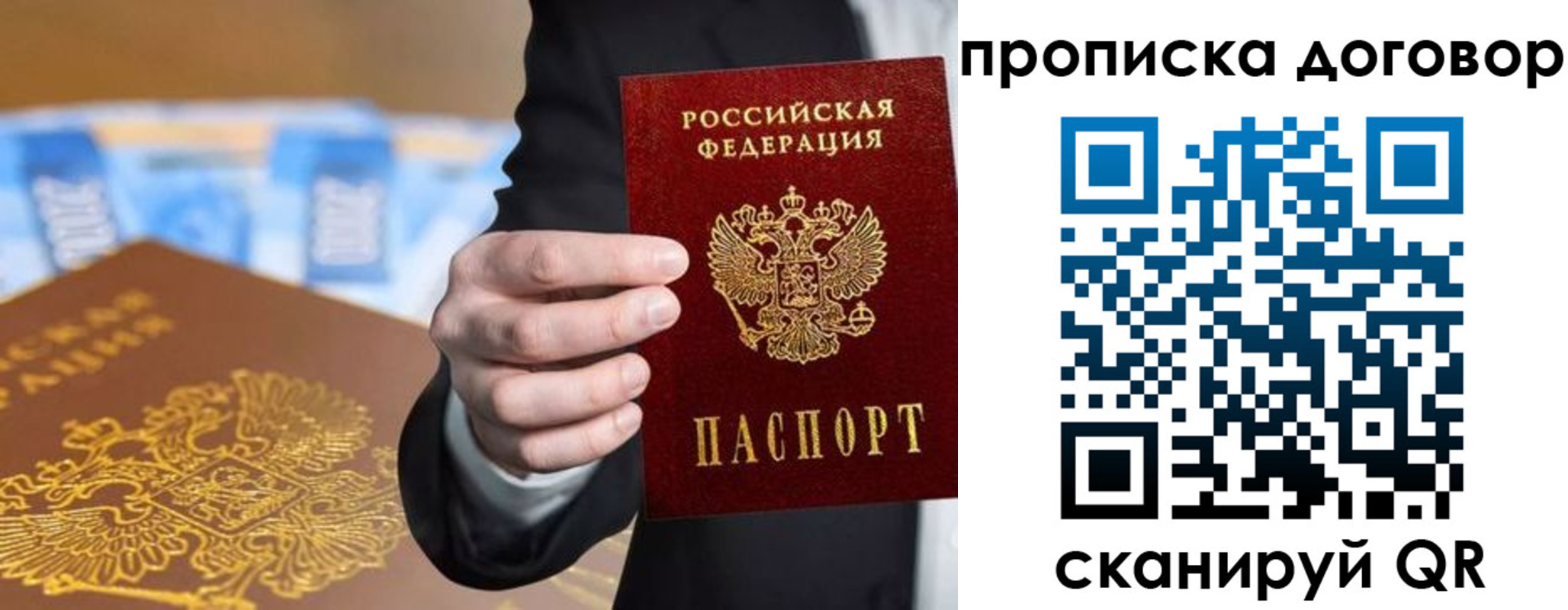 прописка гарантия в Сафоново